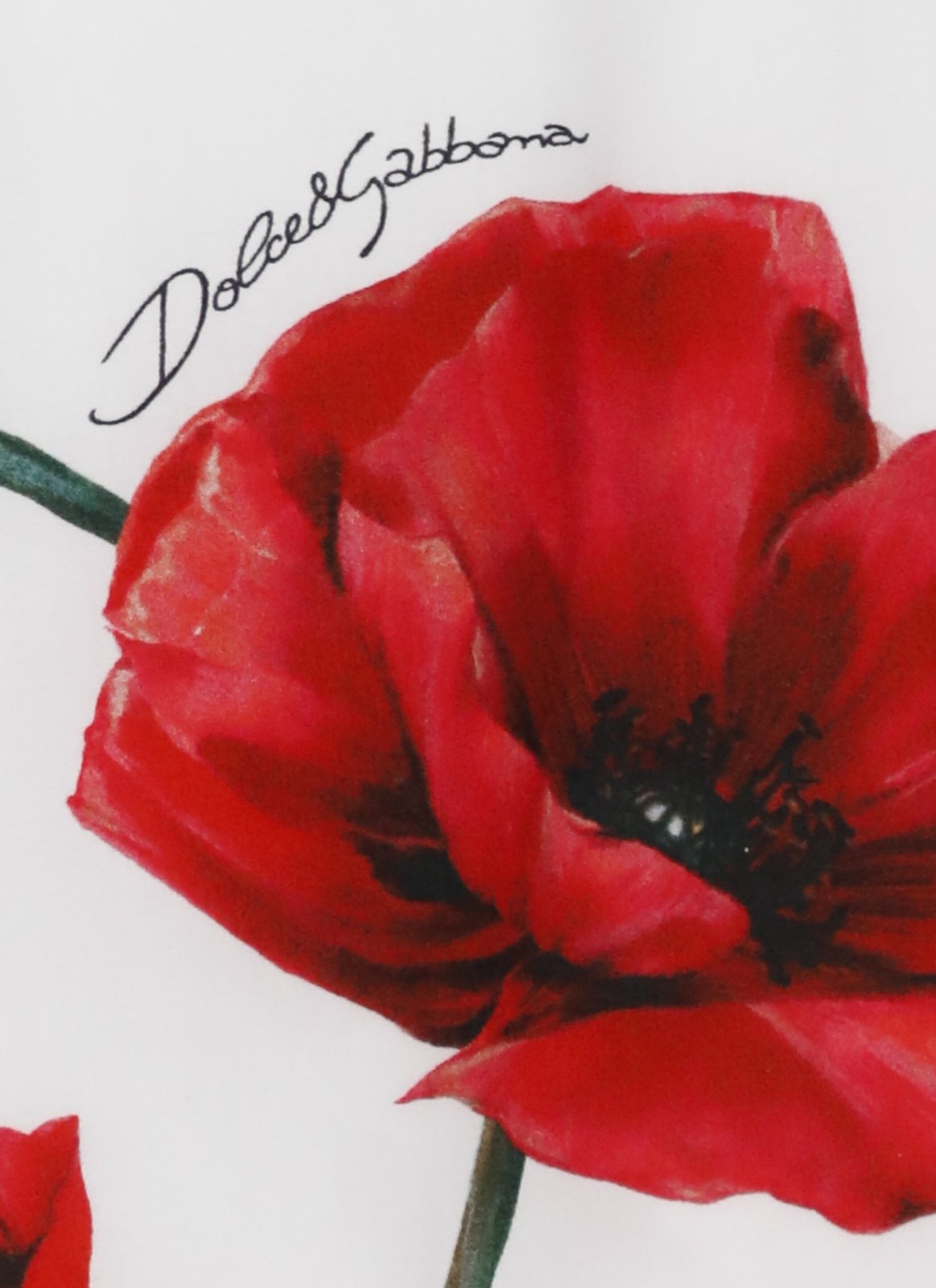 Dolce & Gabbana キッズ フローラルプリント ボタンディテール ショーツ