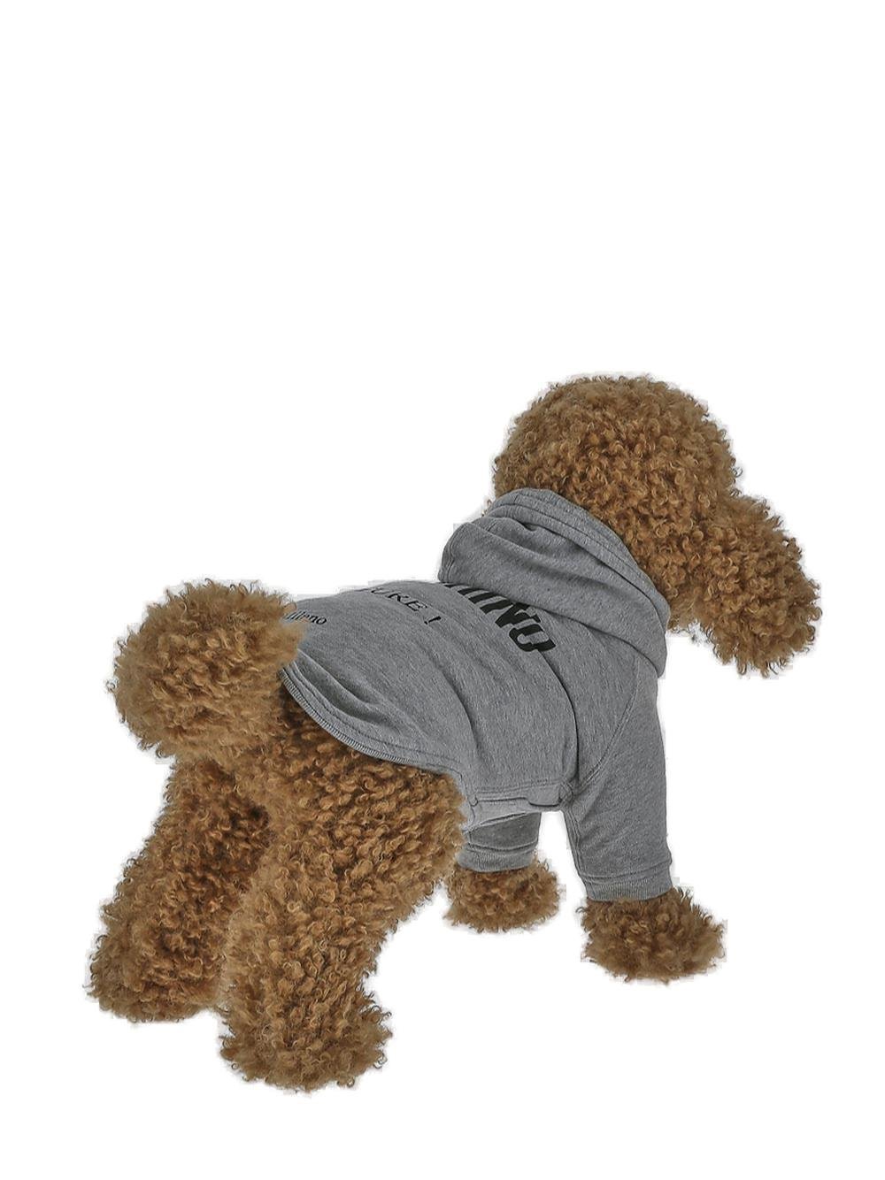 Moschino 標誌印花狗狗連帽衫 56 Moschino 標誌印花狗狗連帽衫