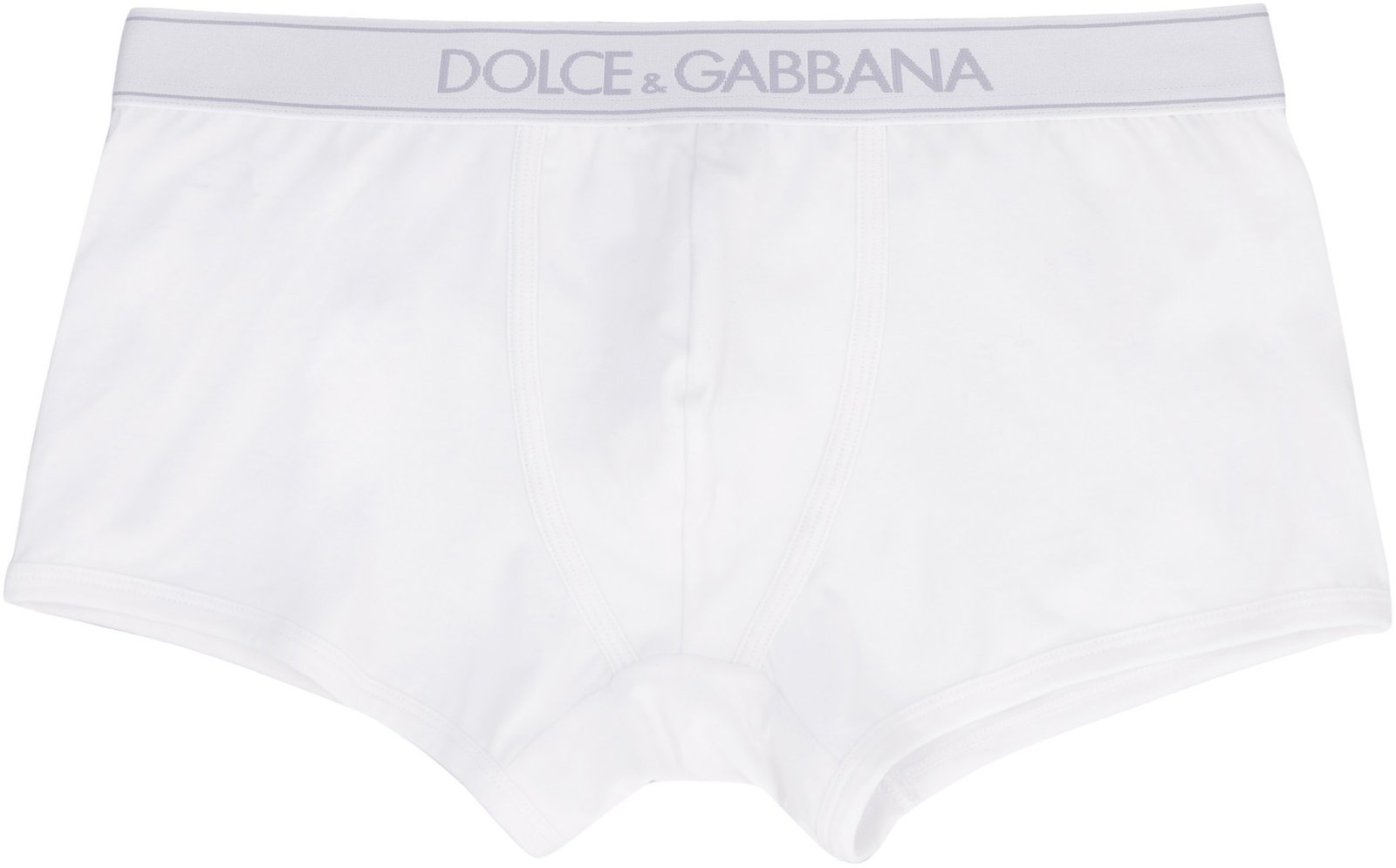 Dolce & Gabbana Logo Waistband Briefs