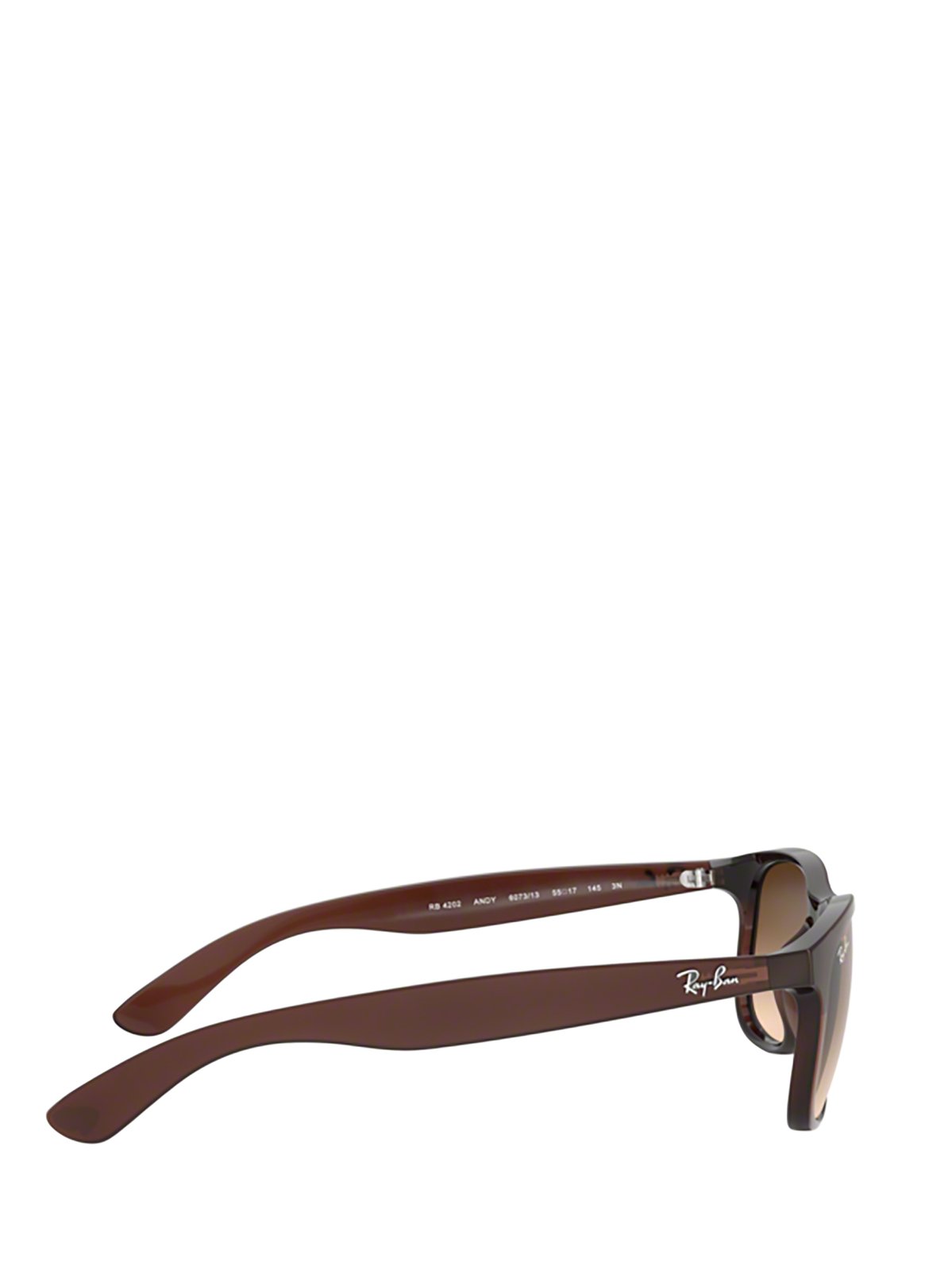 Ray-Ban Andy Sunglasses