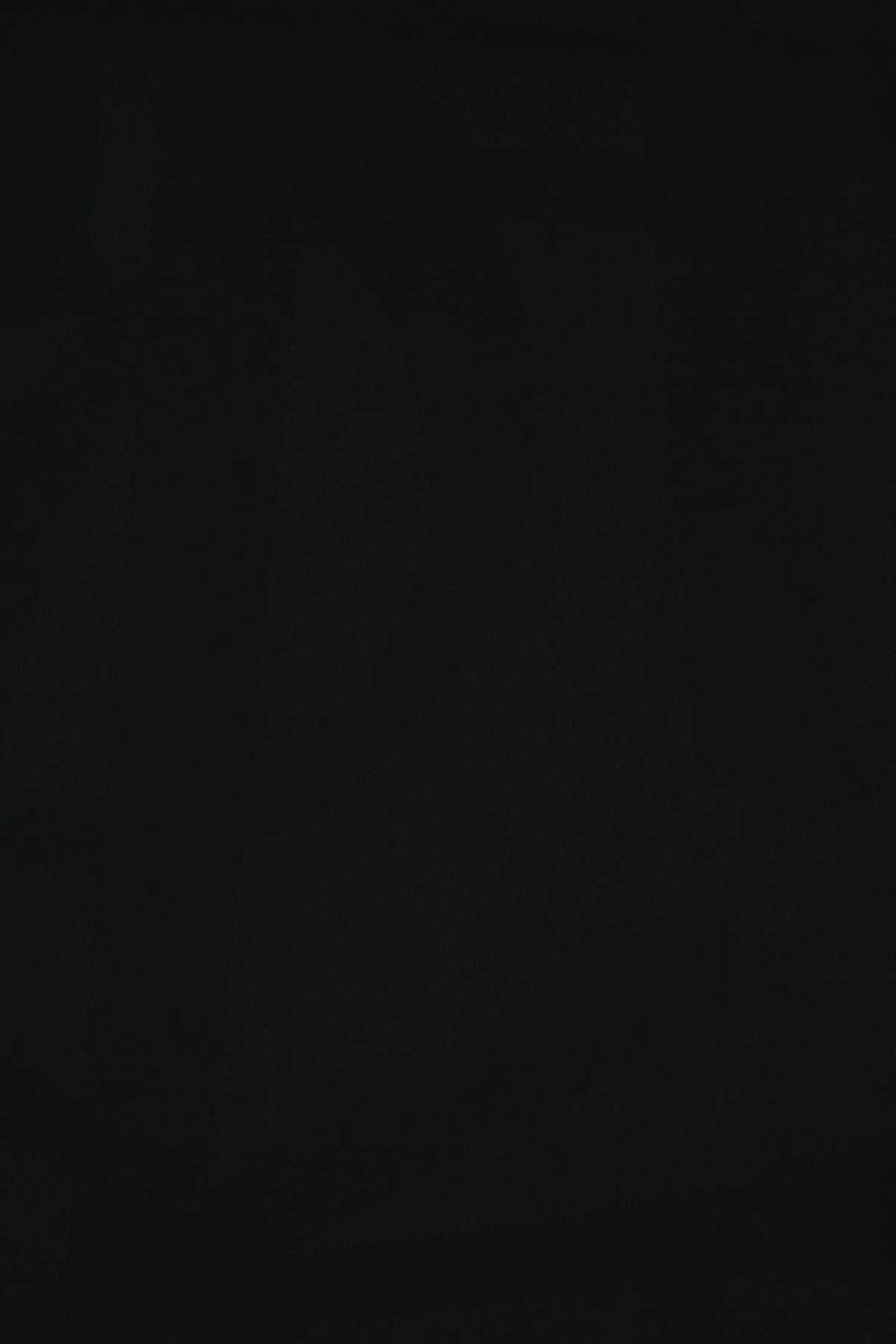 Saint Laurent モノグラム フレイエッジ スカーフ